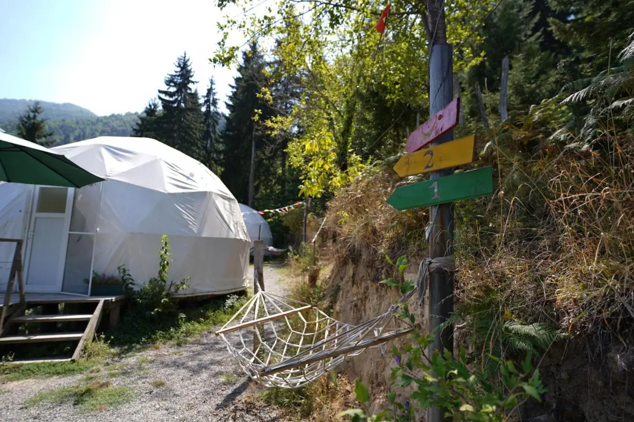 Ajara Glamping Kokotauri