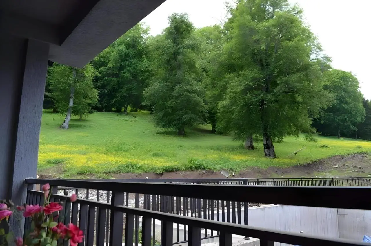 Area Park Bakuriani, Apartment 5