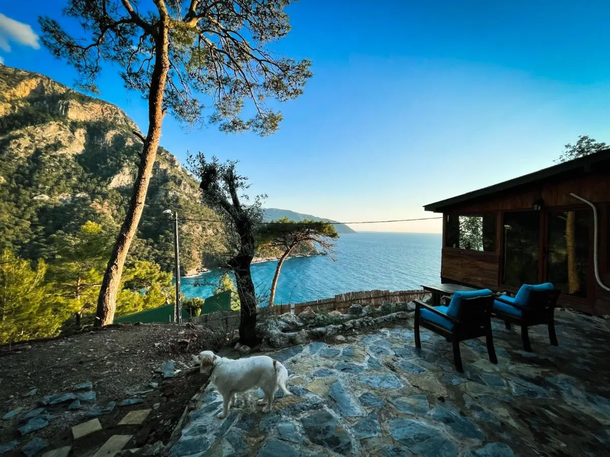 Kabak Ütopya Kamp