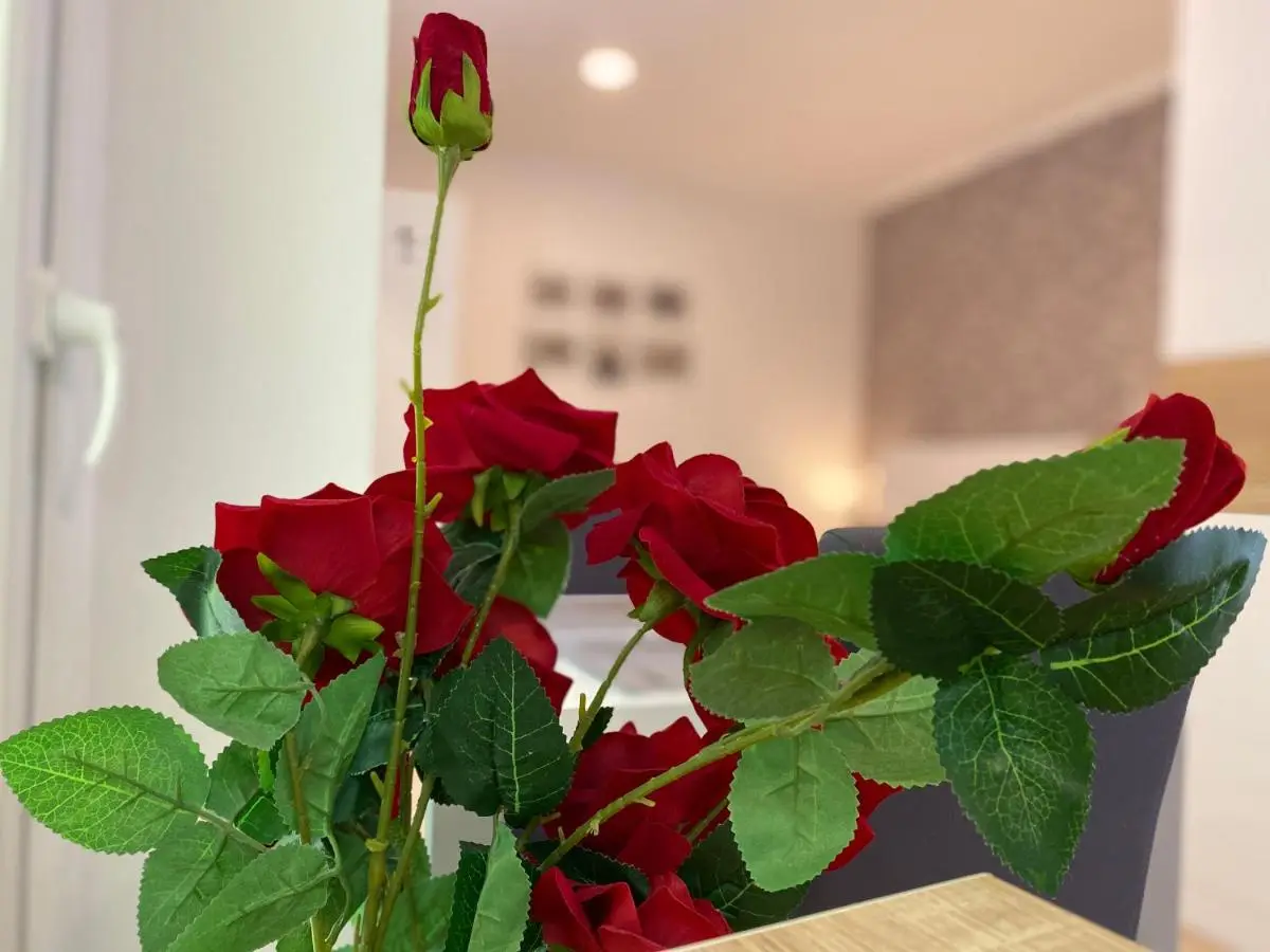Apartments & Rooms Mostar Story
