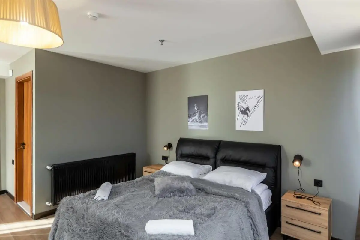 Super Stylish and cozy 2 bedroom 4or6 people Apartment in key location in Marshall Gudauri Project Ski Resort