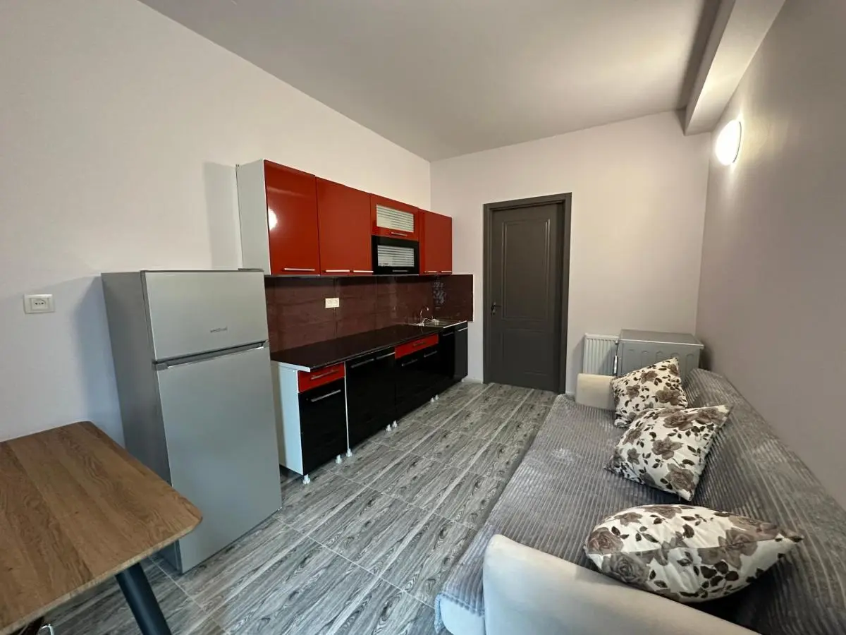 Cozy Apartments with Terrace in a Quiet Tbilisi Neighborhood