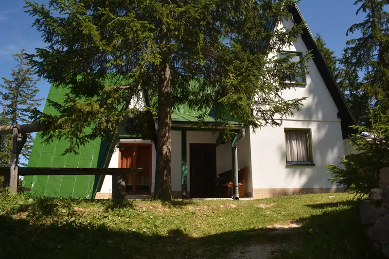 Cozy 3 bedroom house