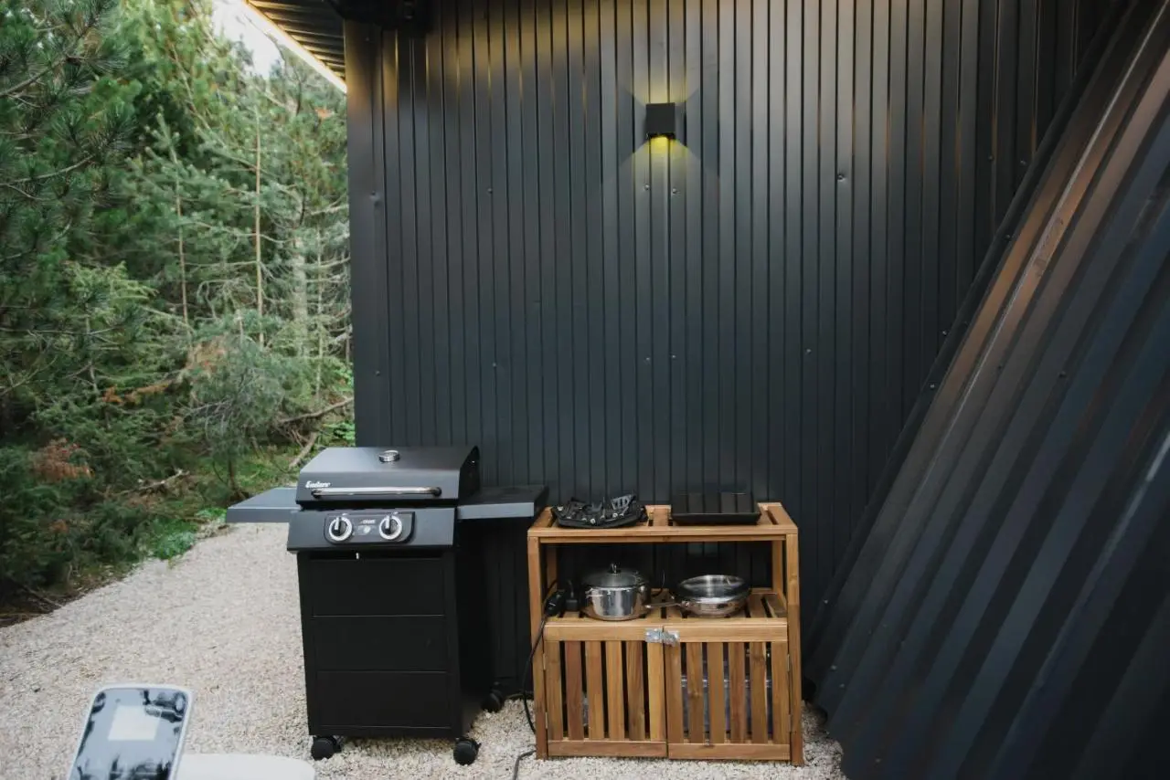 Pinelle Blidinje A-Frame House