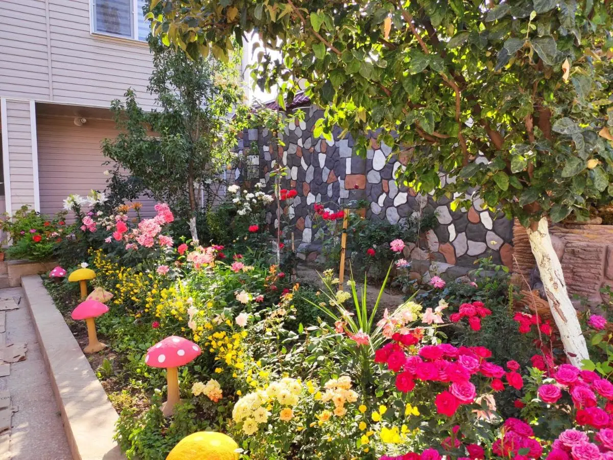 Villa Premium Qusar