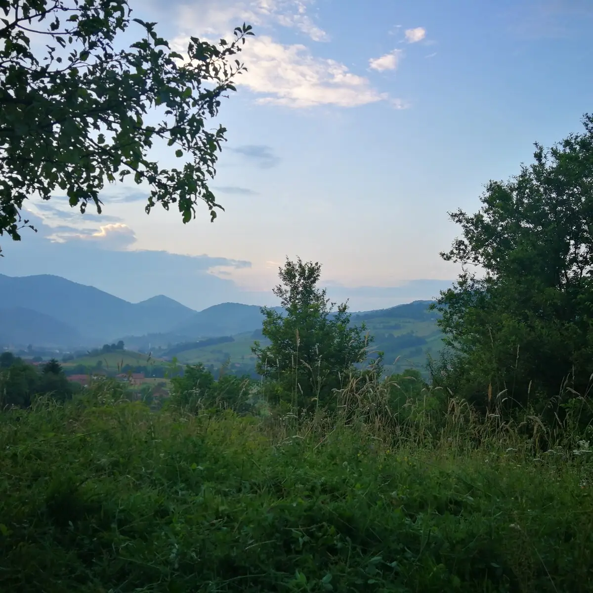 Green Idylle-PYramide View