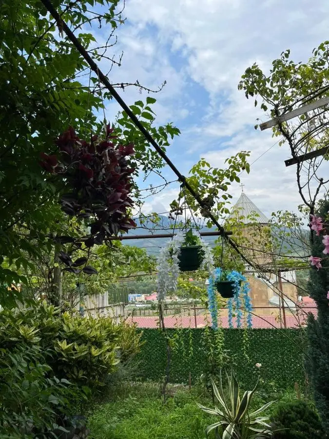 garden and panorama