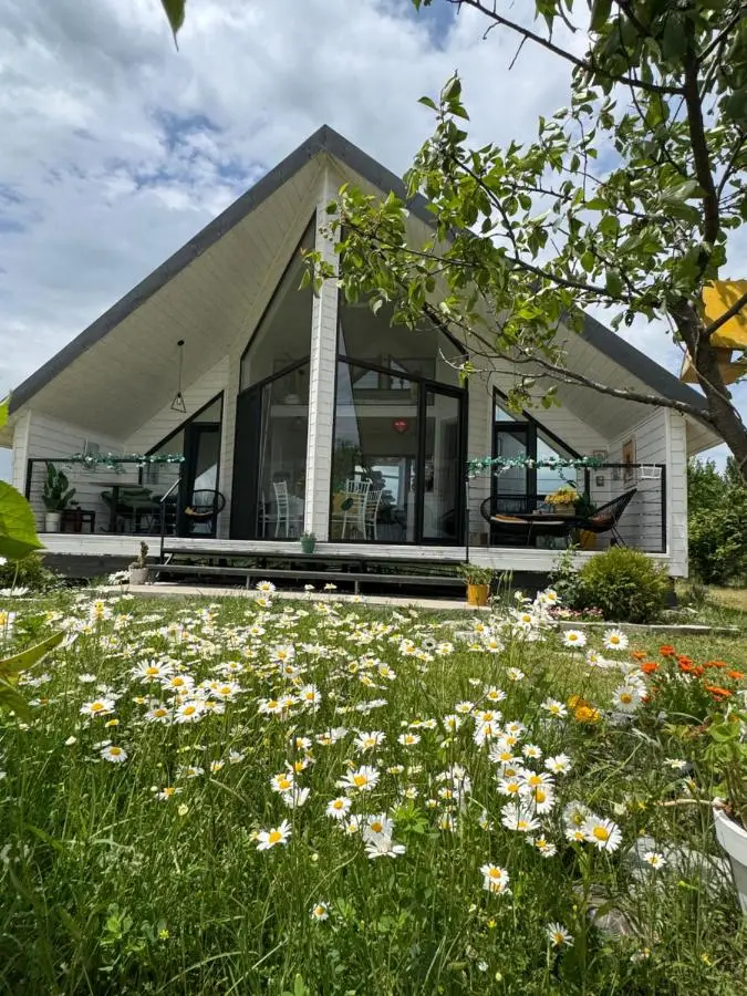 Yellow House Natakhtari