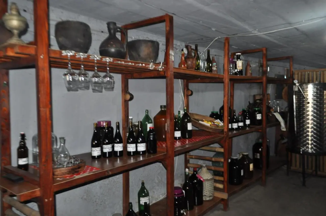 Guest House Anina