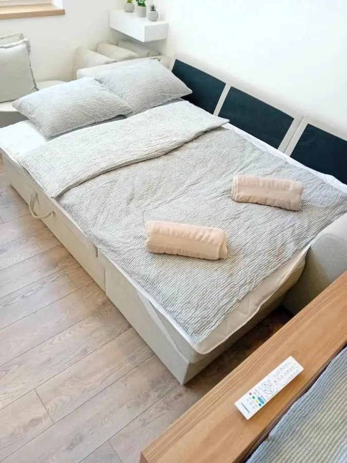 Apartments Studio Center