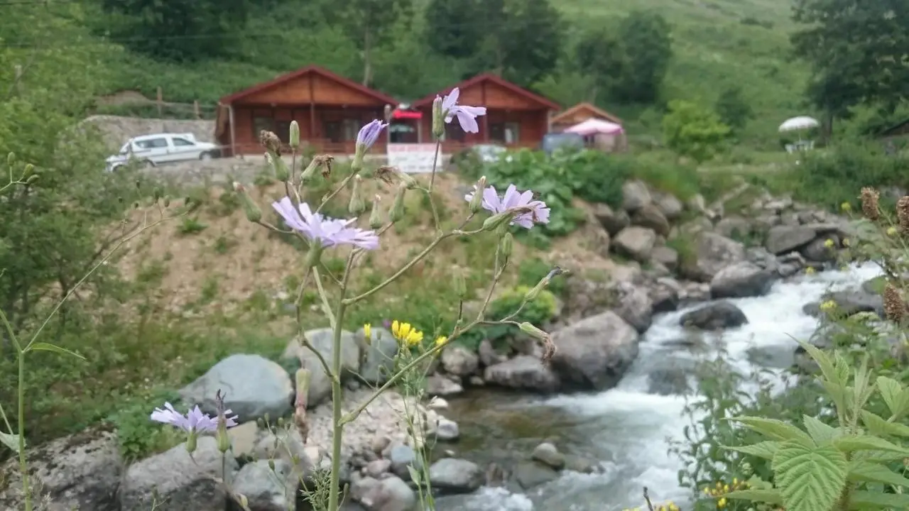 Aslan Dağ Evleri