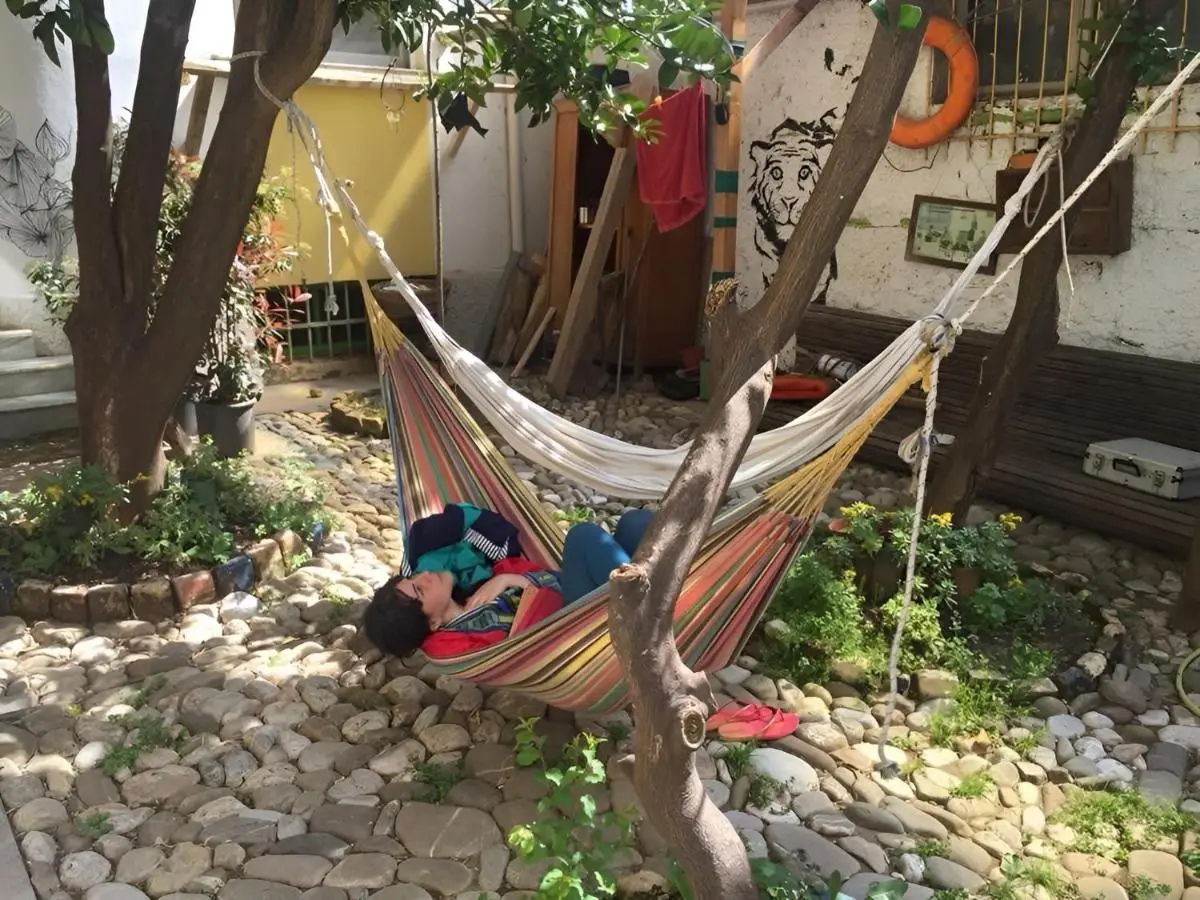 Tirana Backpacker Hostel