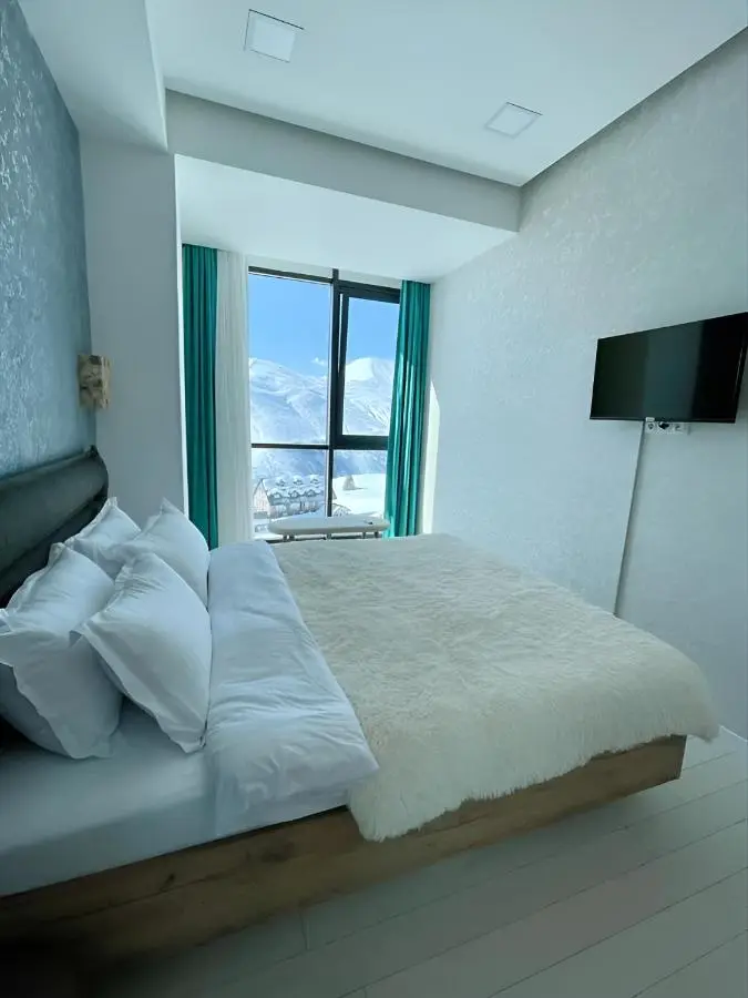 winter house GUDAURI