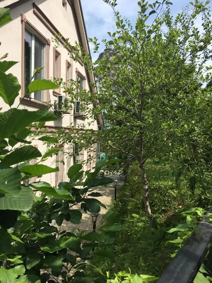 Mount Villa Kvariati