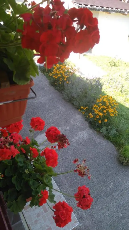 Kuća za odmor Panorama Lohovo Bihać
