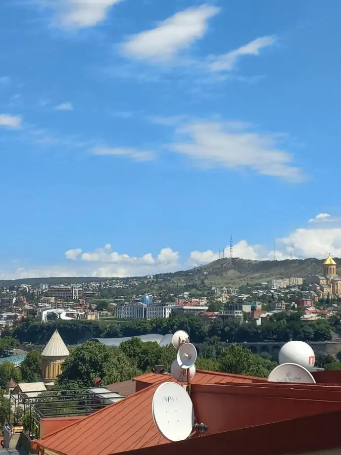 Overlooking Old Tbilisi Nino 2