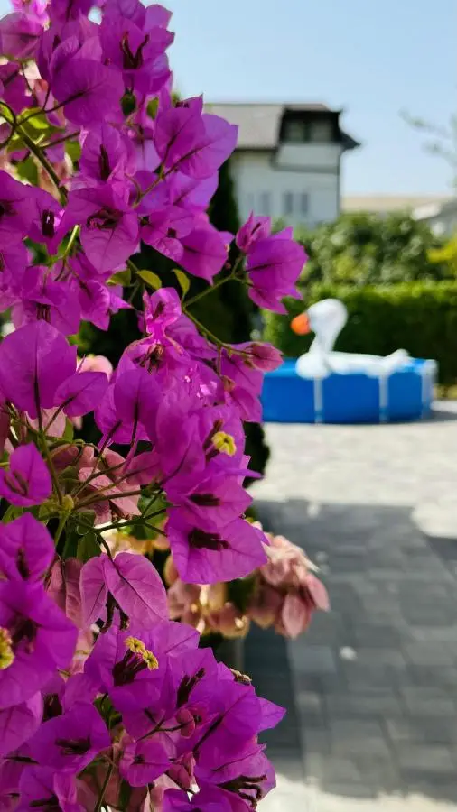 Guest House NO 13