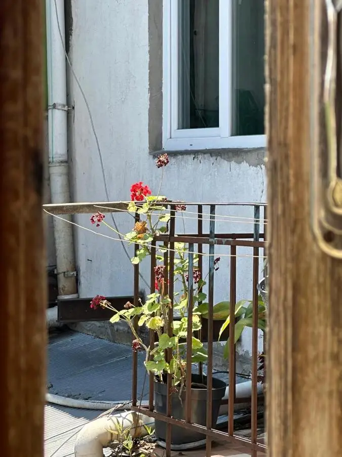 Wonderer House in Old Batumi