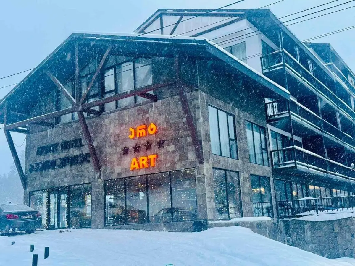 Bakuriani art apart hotel 203