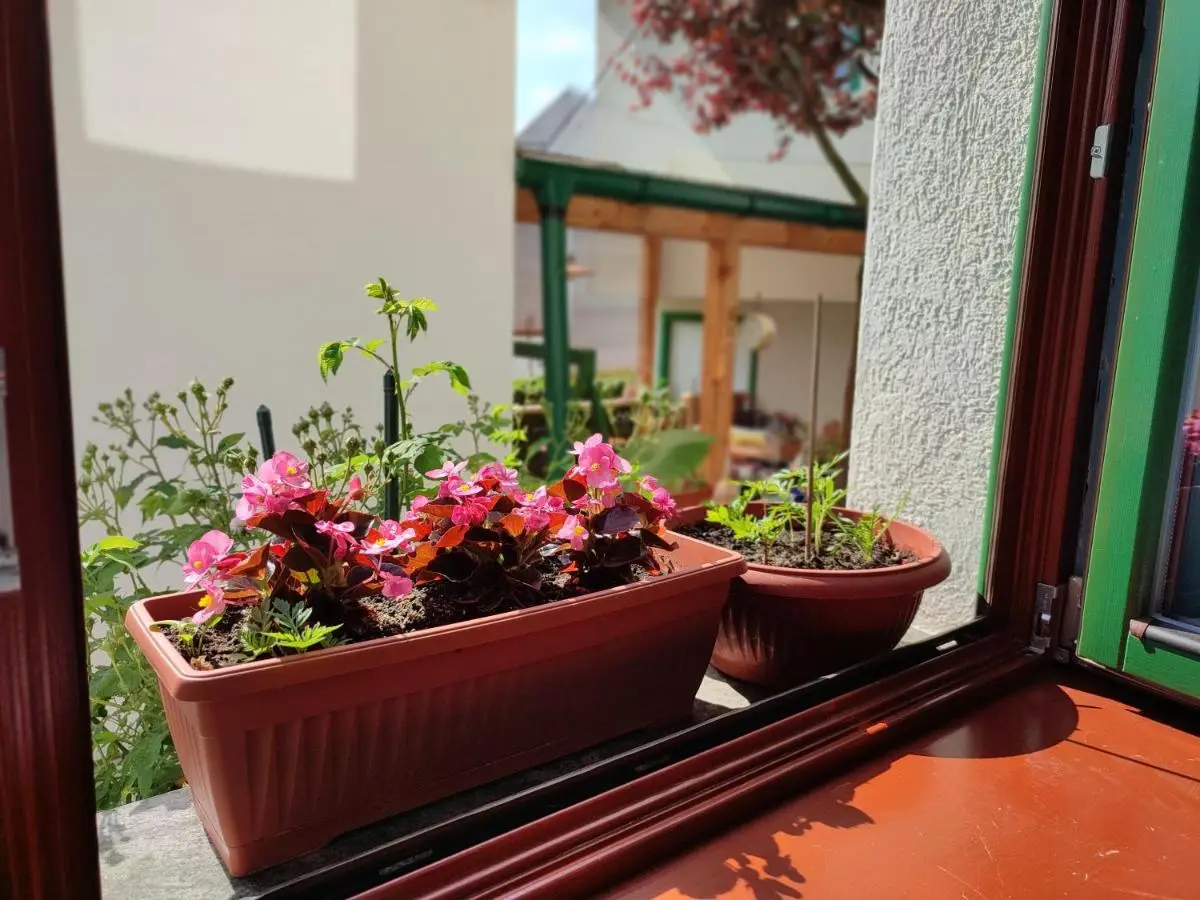 Green Gate Apartments