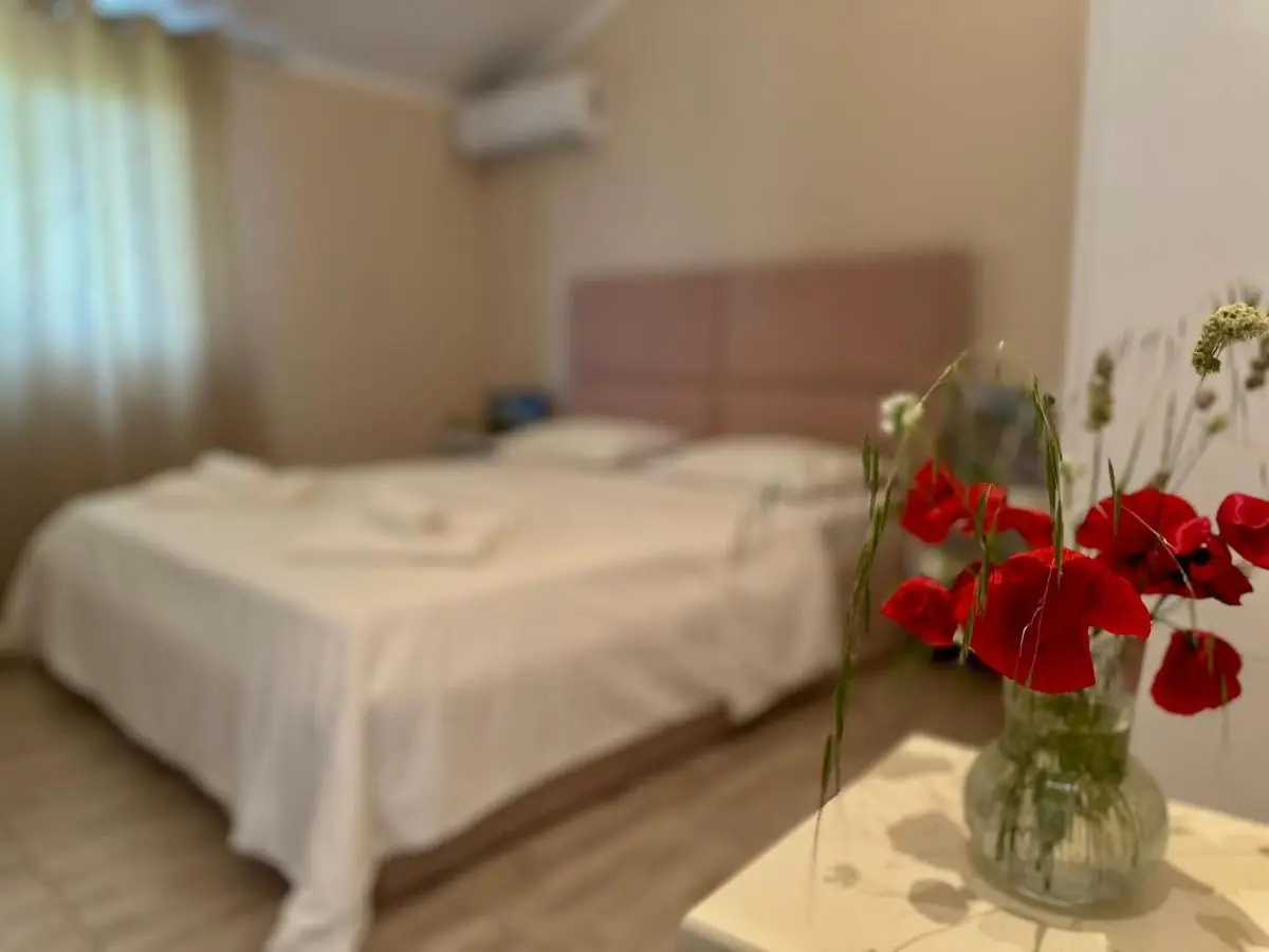 Hotel Ballkan Shkoder