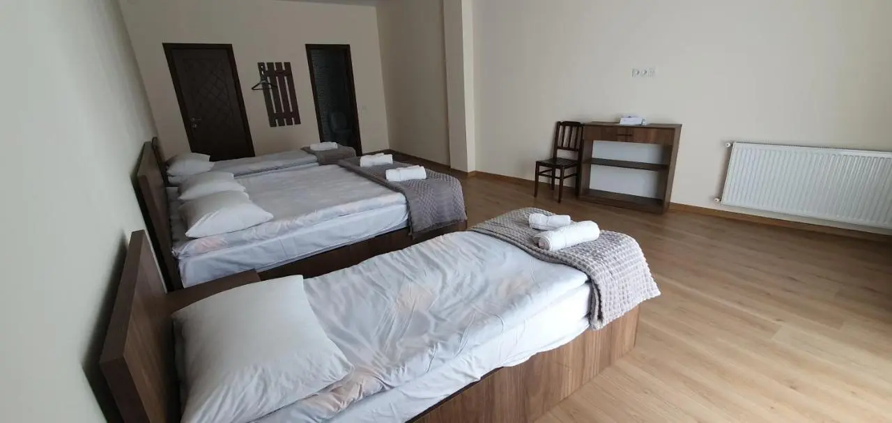 Elnetsa Inn Kazbegi