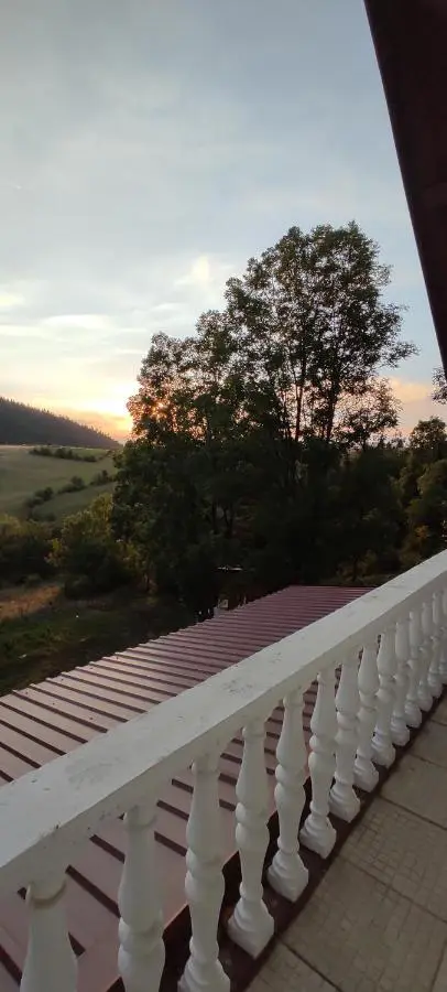Vlasic holiday home