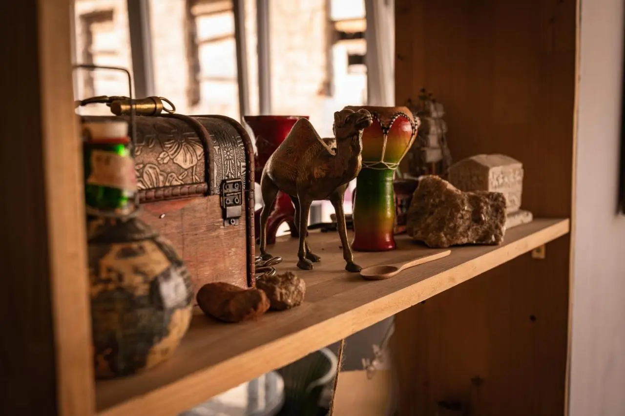 Hostel Backpackers