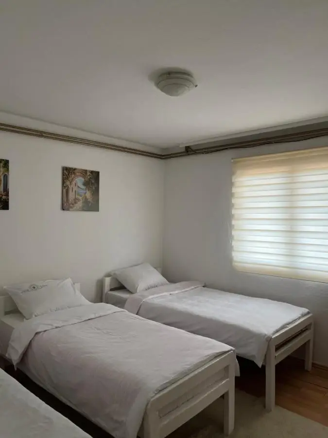 Apartment 17