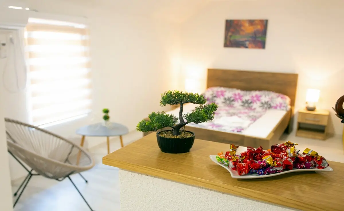 Apartments Daris - Studio Apartment
