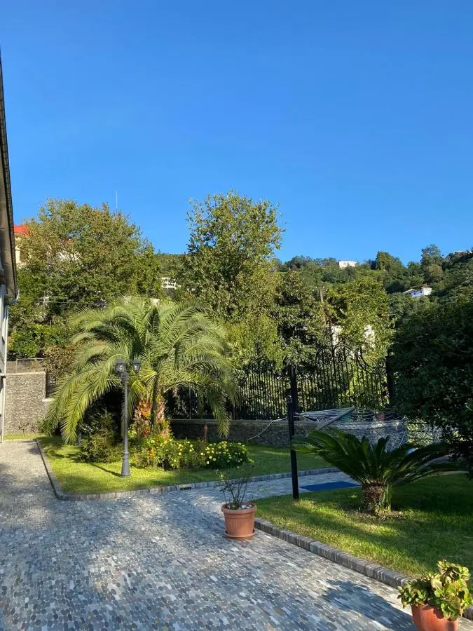 Green villa panorama