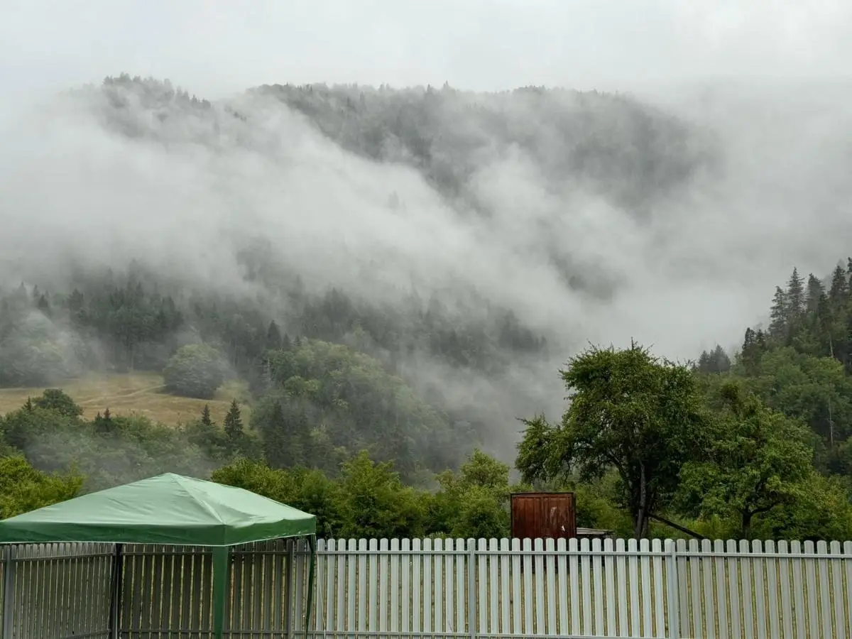 Buddy House Borjomi