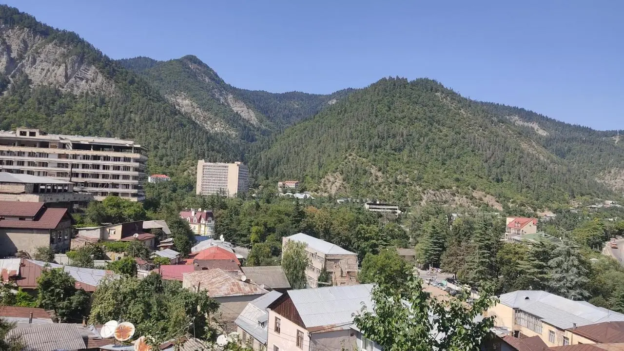Borjomi Nest 1