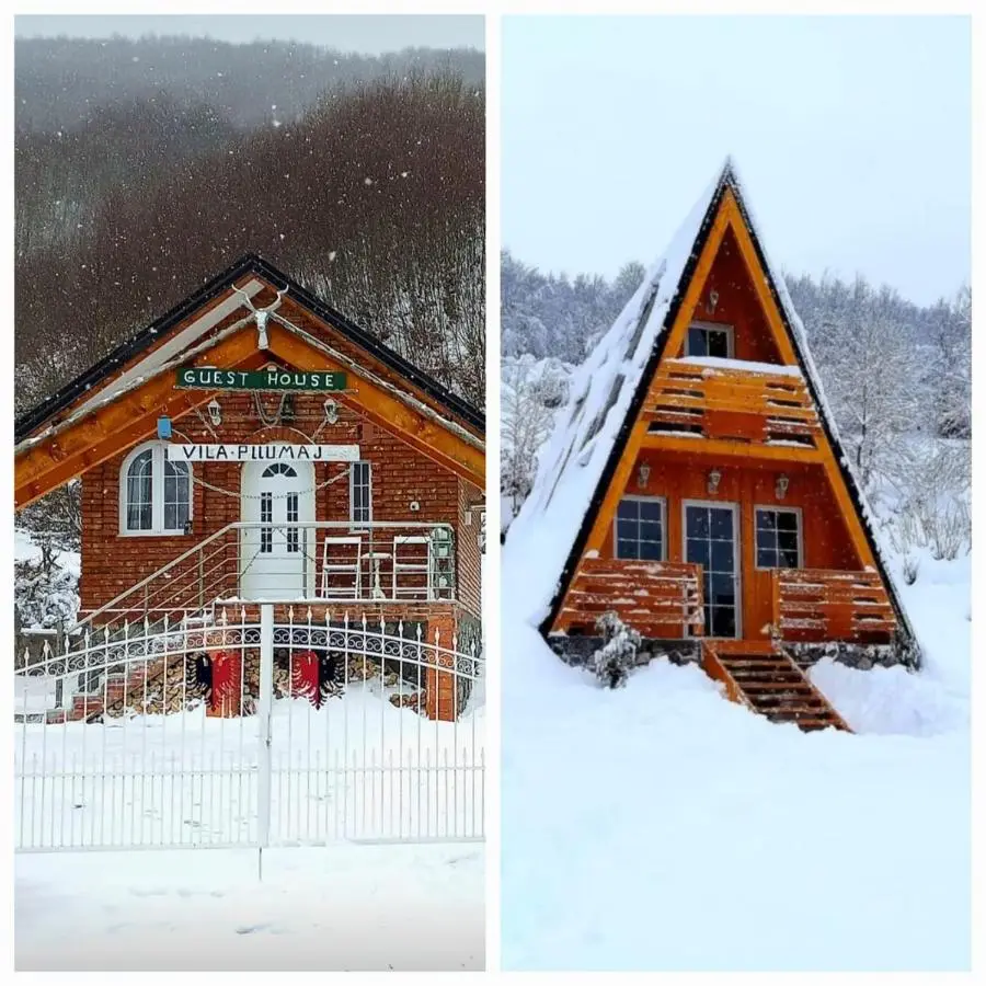 Vilat Pllumaj
