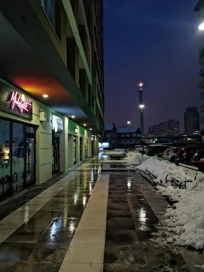 Simanic Appartment
