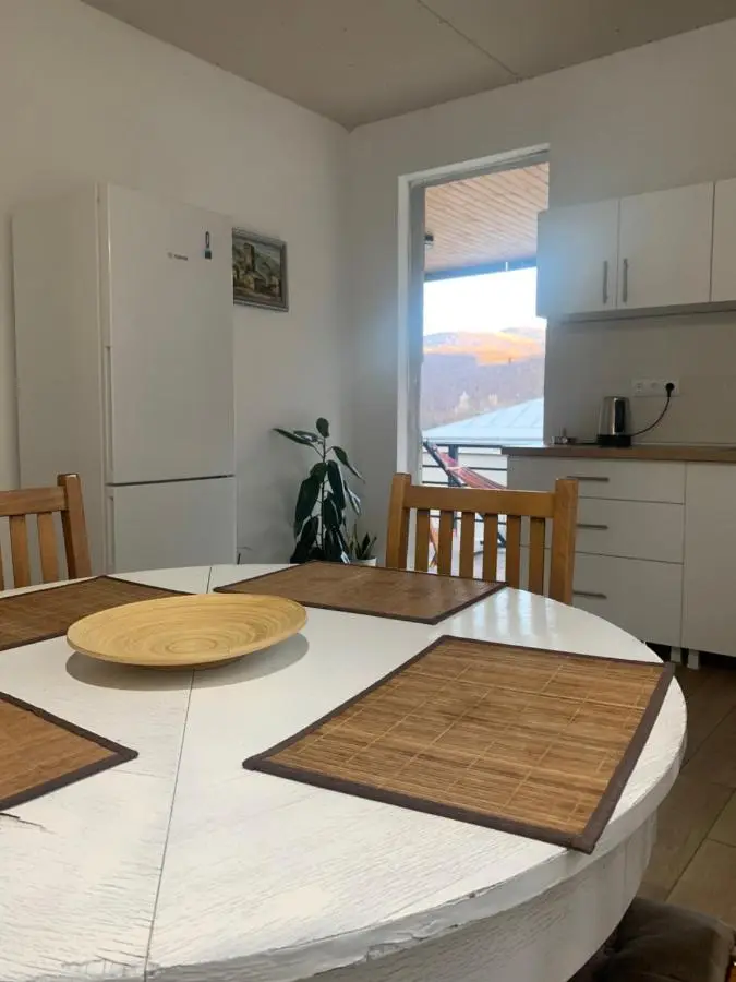 Panorama ananuri guest house