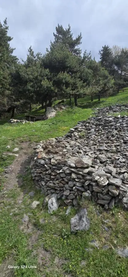 Elia Hut Kazbegi