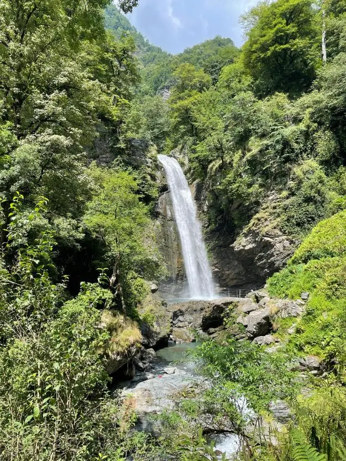 Green Corner