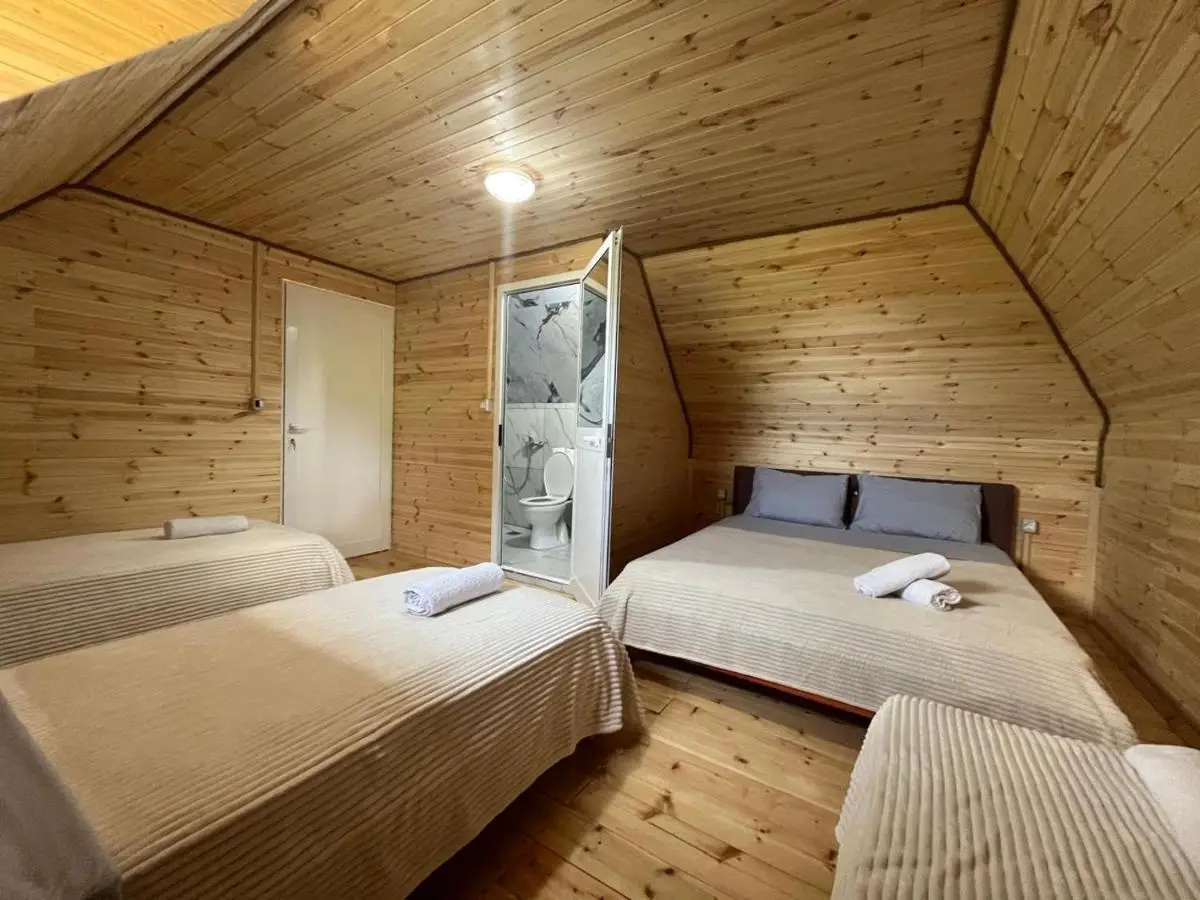 Guesthouse Driti