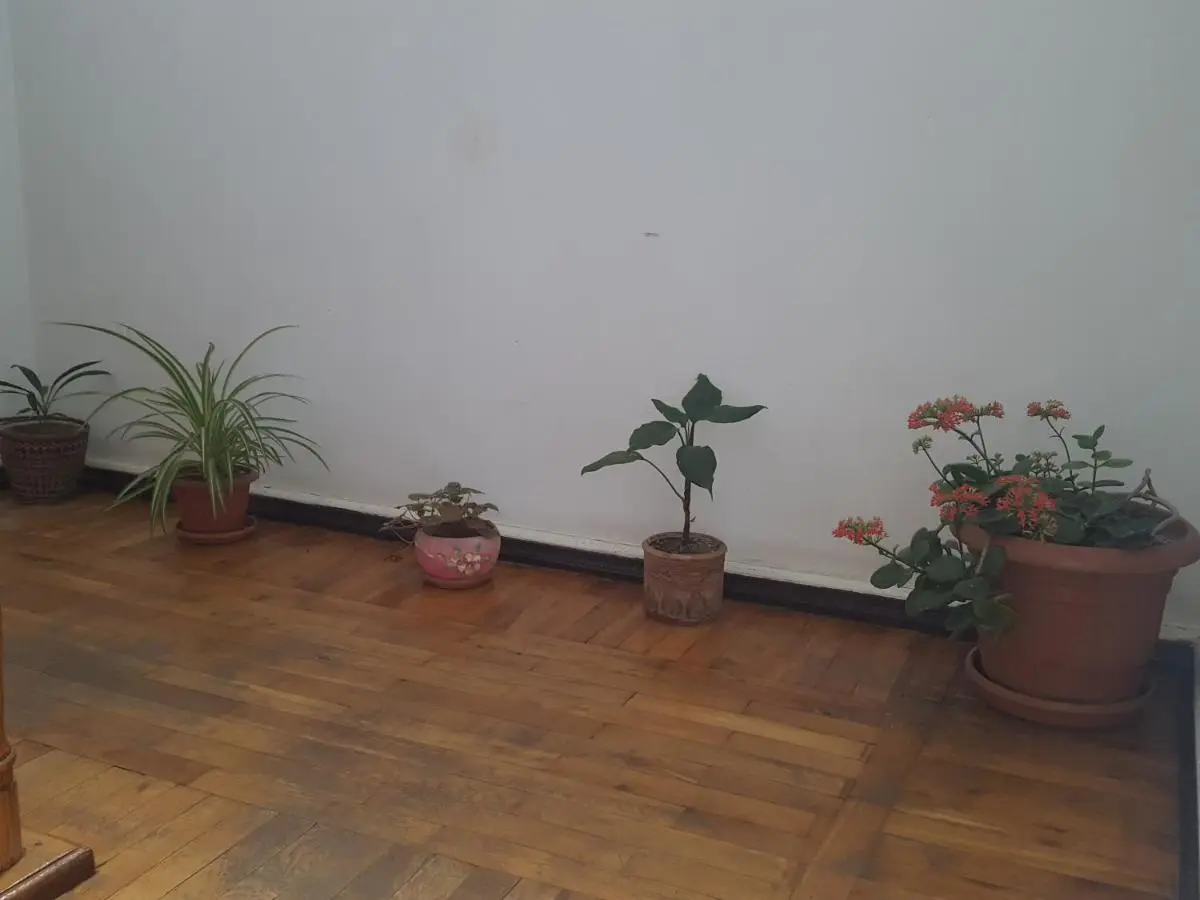 Hostel Mana Kutaisi