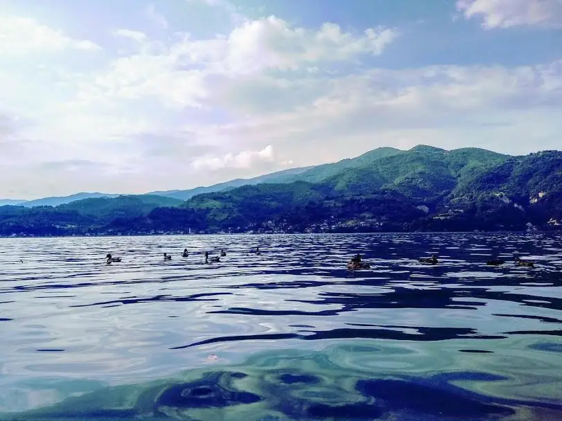 Dina apartman Jablaničko jezero