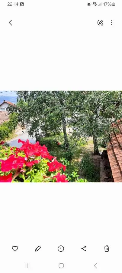 Guesthouse Hill