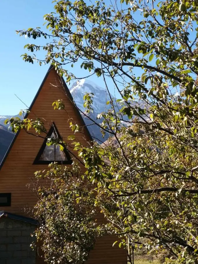 Emotion Kazbegi