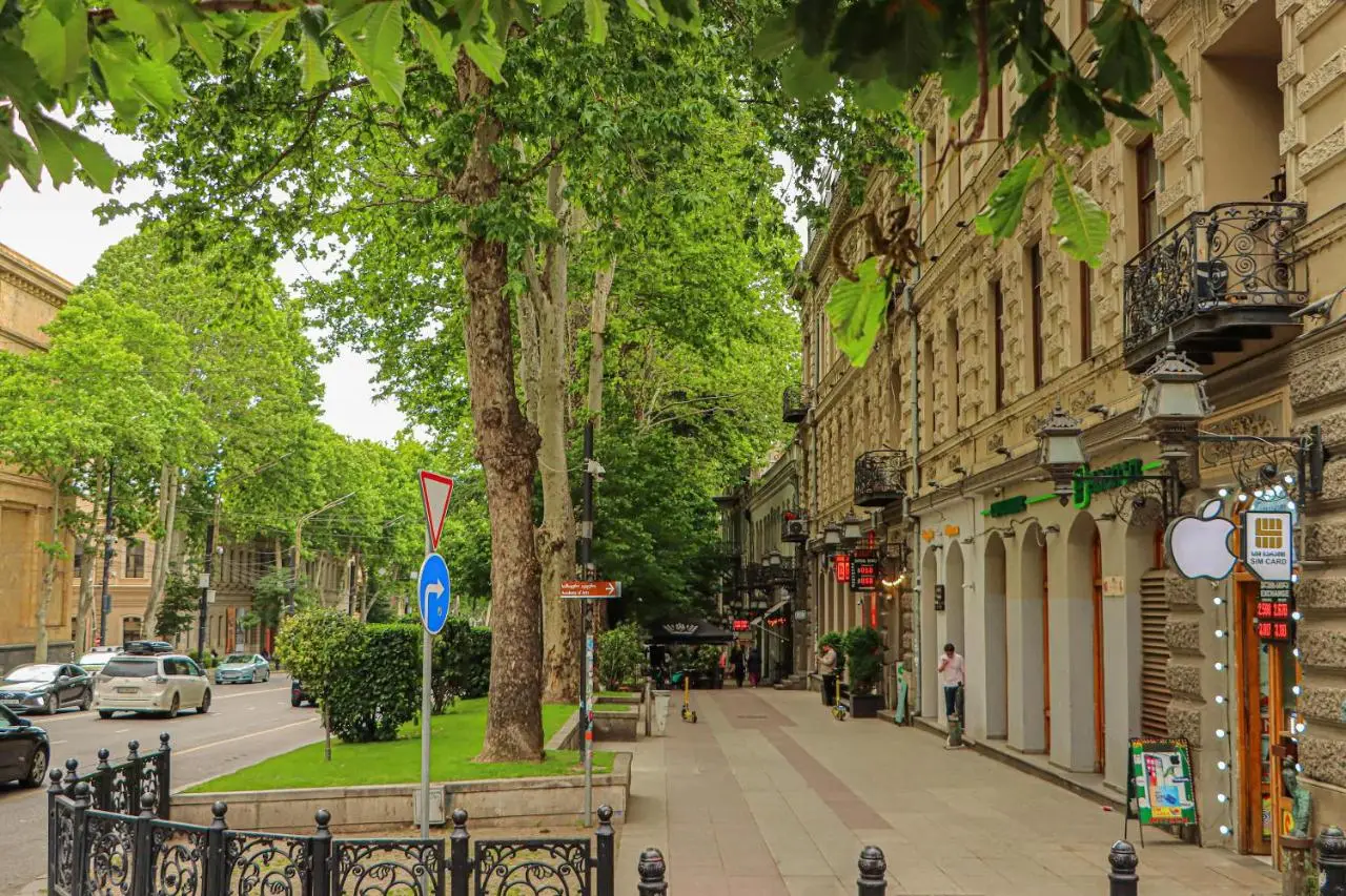 Stylish Apartment on Rustaveli Avenue