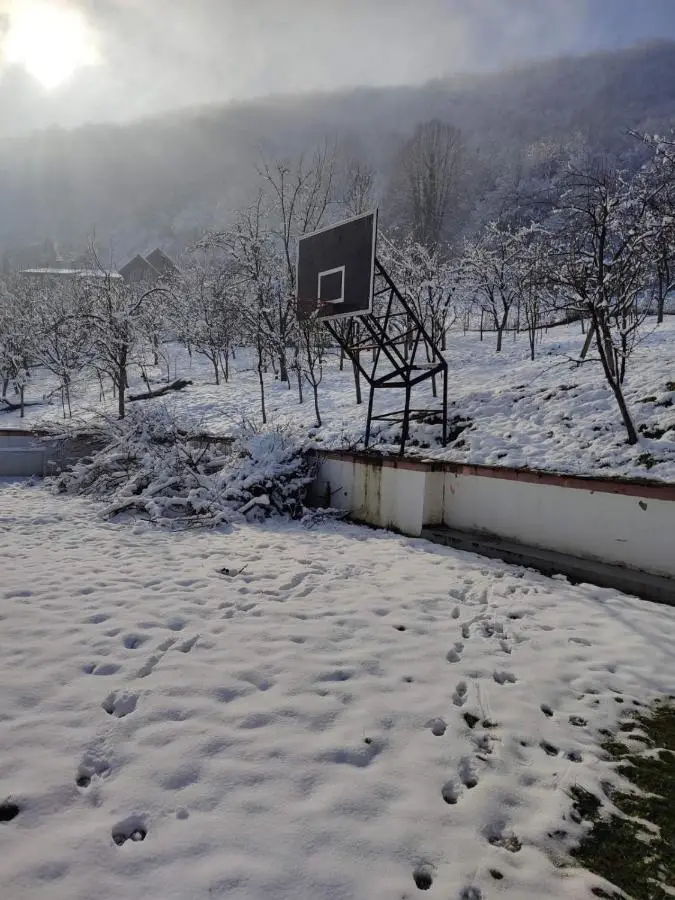 Resting House Oaza