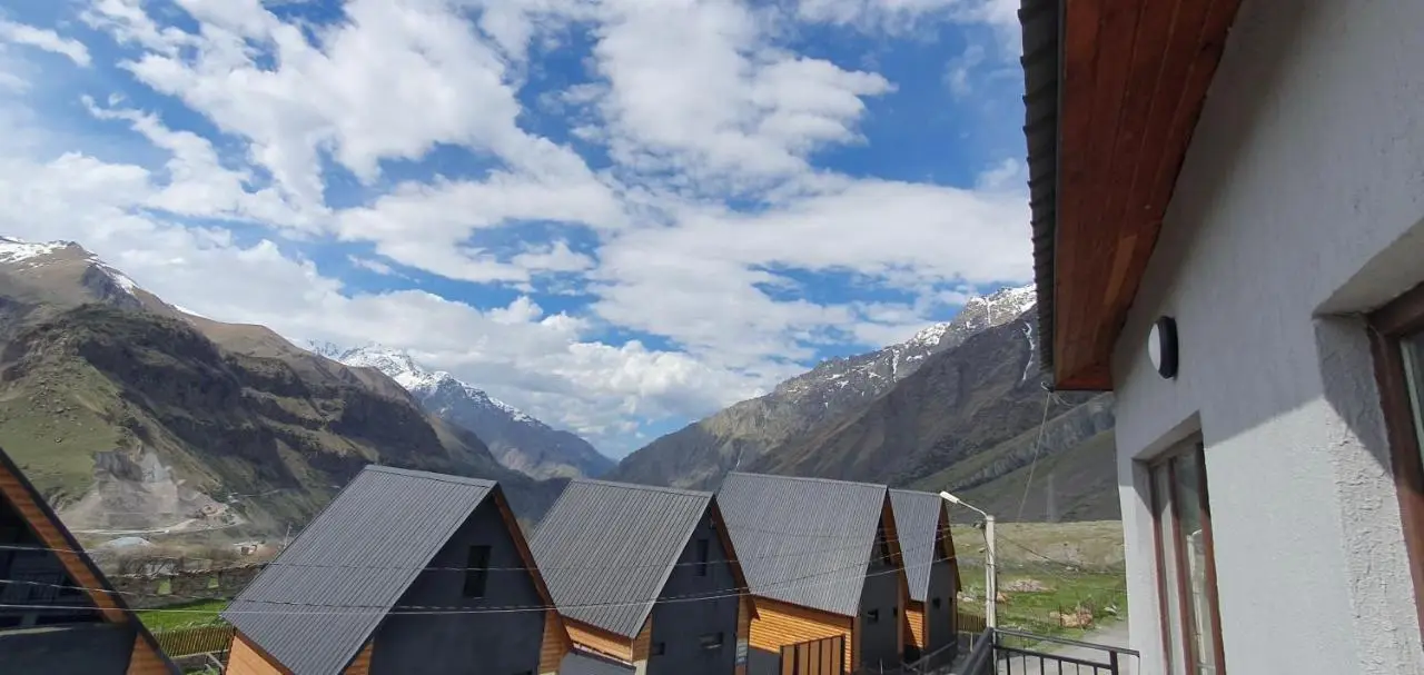 Elnetsa Inn Kazbegi