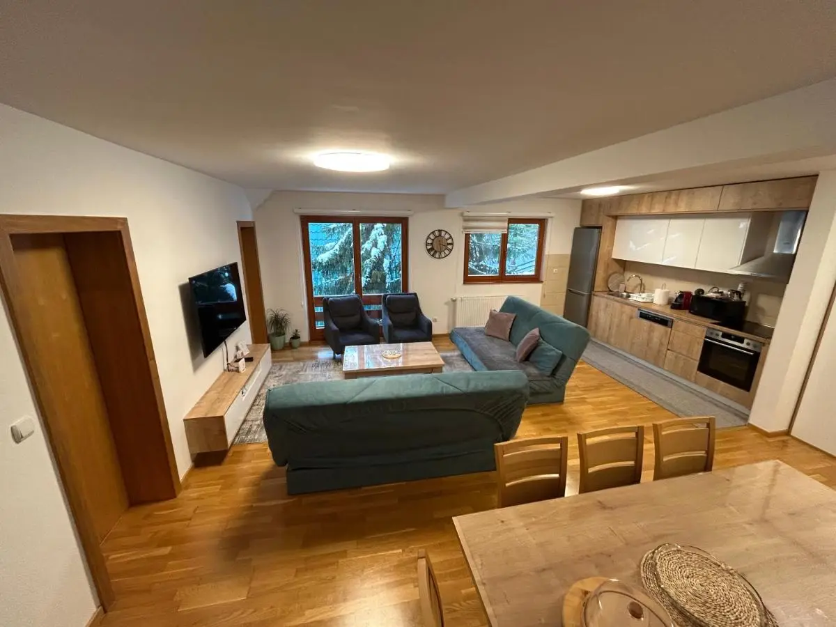 Montis Vlasic Apartment 1