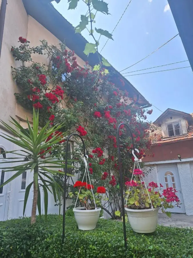 Modern&Cozy Bosnian house with GARDEN+FREE parking