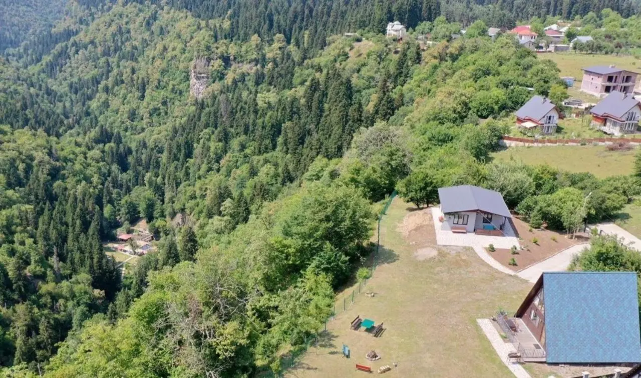 Borjomi Cottage Sadgeri
