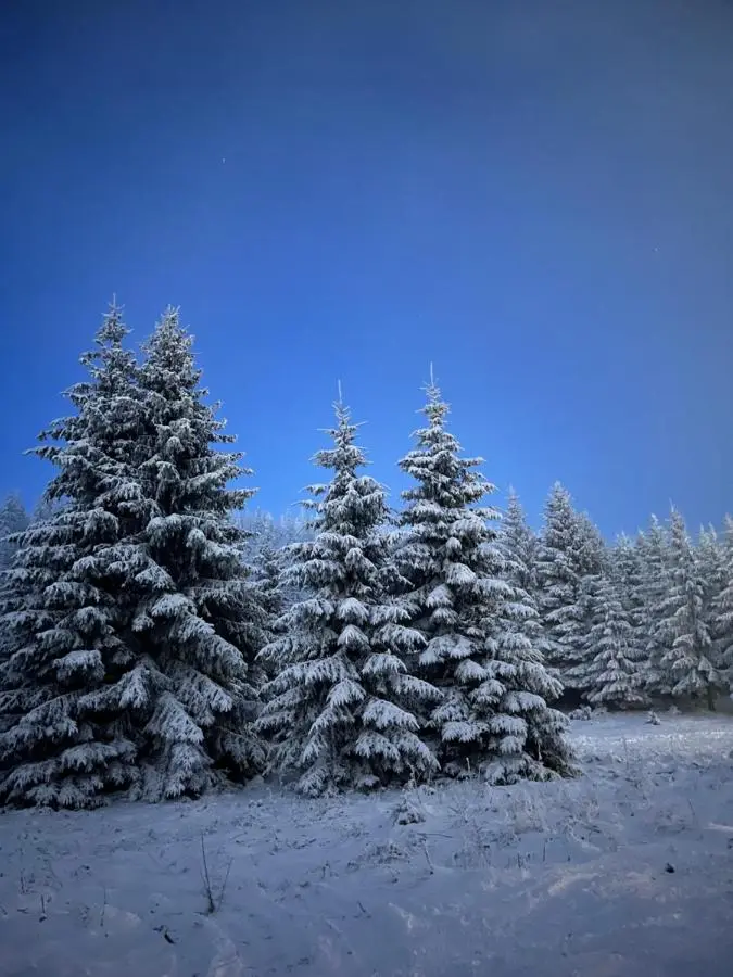 Vikendica Eden